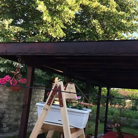 Kostadinovi * Bŭlgarevo