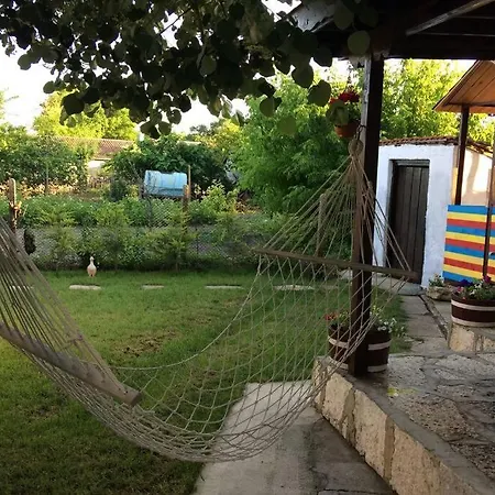 Kostadinovi *