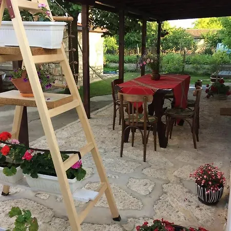 Kostadinovi * Bŭlgarevo