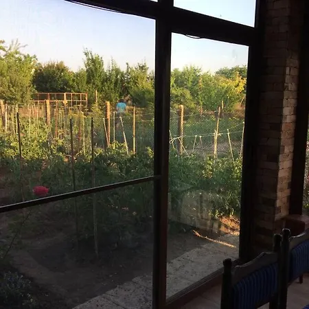Kostadinovi * Булгарево