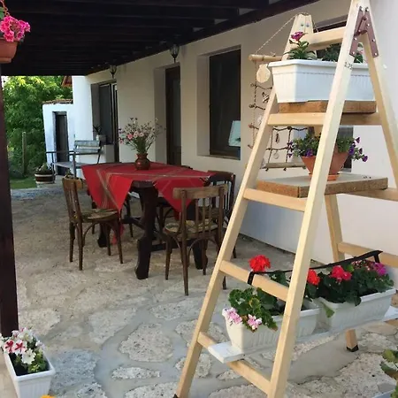 Kostadinovi